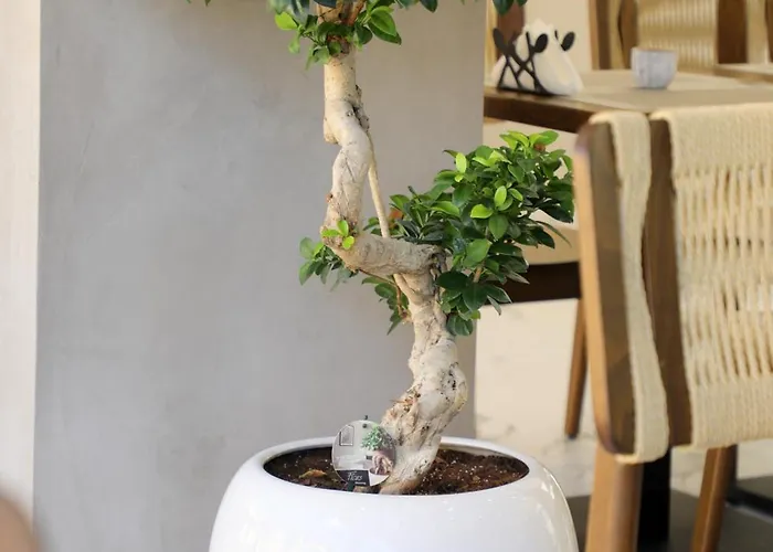 Otel Niklas Boutique 4*