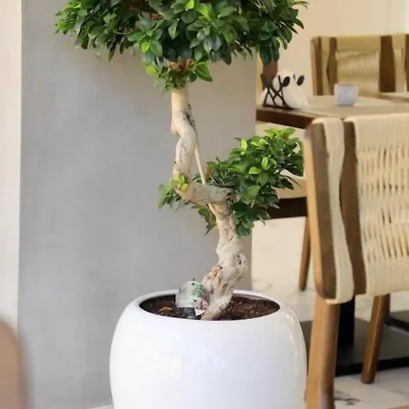 Niklas Boutique Saranda